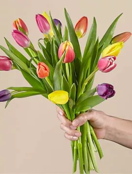 15 Stem Spring Breeze Multicolored Tulip Bouquet