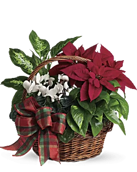 Mini Table Top Christmas Tree Douglas Fir Arrangement With White Asiatic Lilies & Red Spray Roses By Teleflora